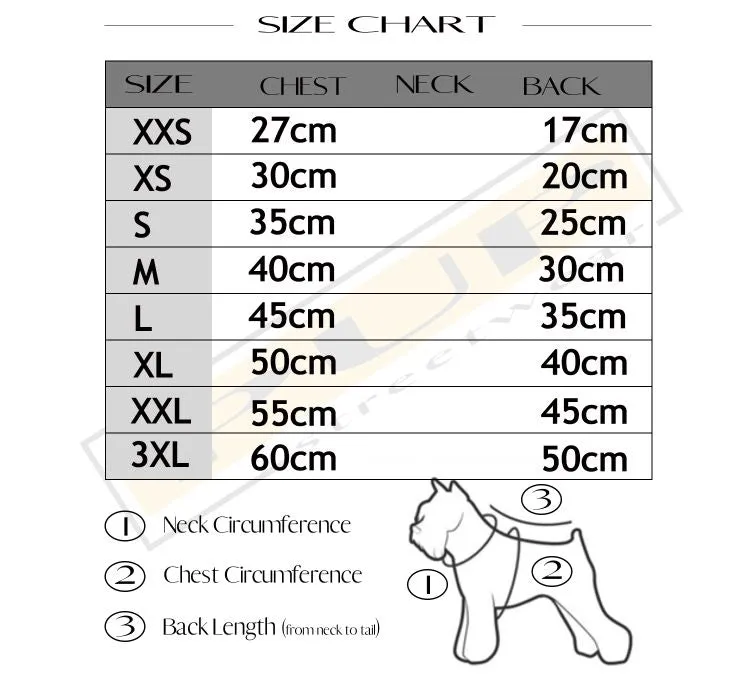 Chewnel Starlight Skirt Dress