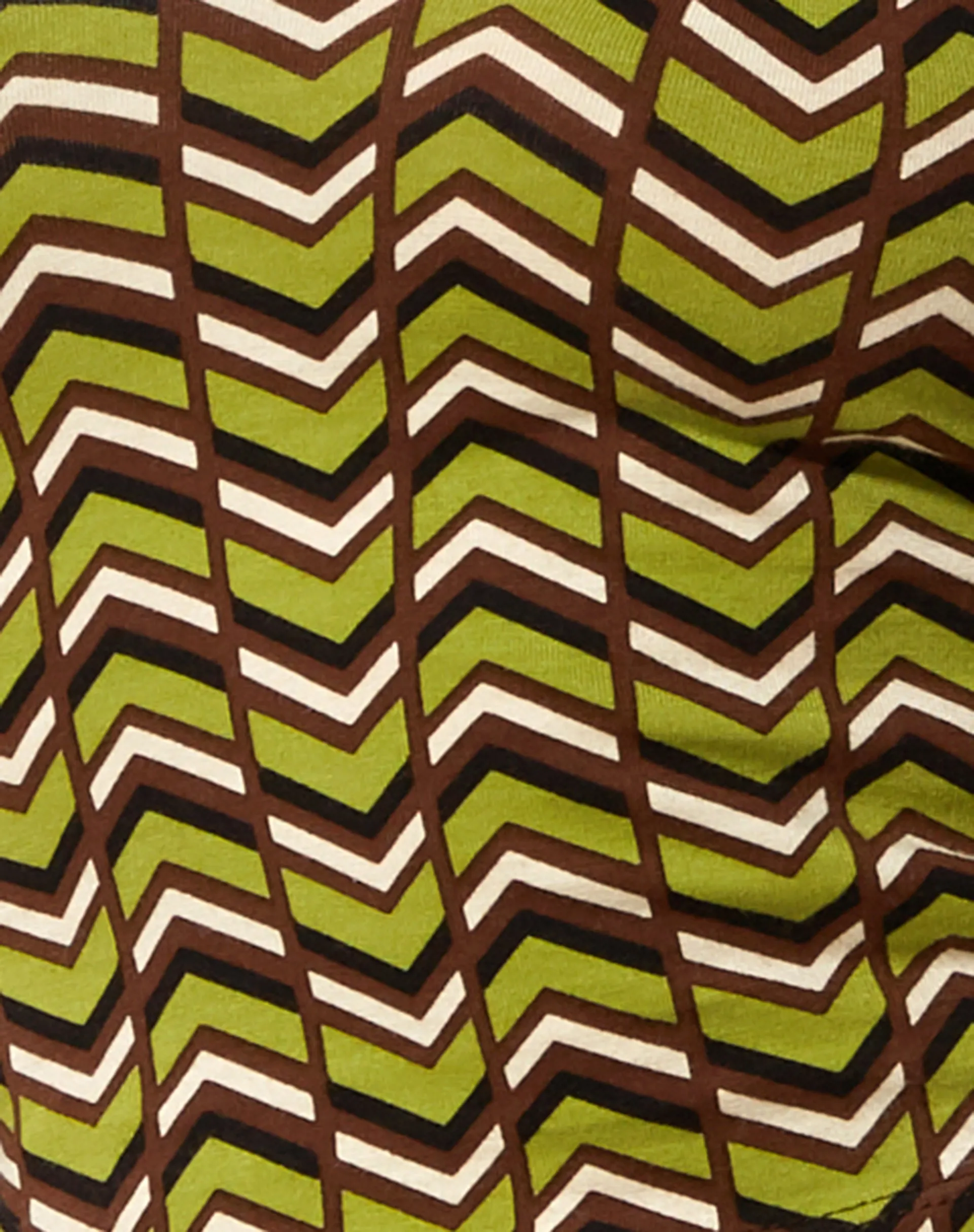 Tusha Long Sleeve Top in Chevron Green